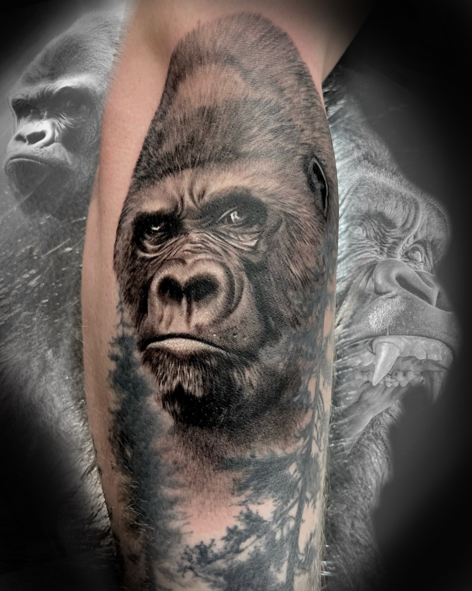 17665A59-F848-47DB-AD94-A4148DD6E119